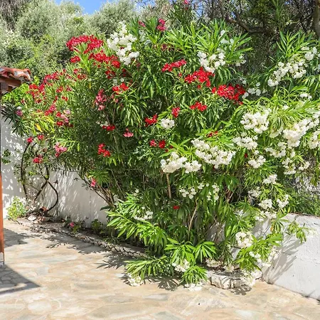 Holiday home Golden View Skiathos Town