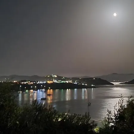 Golden View *